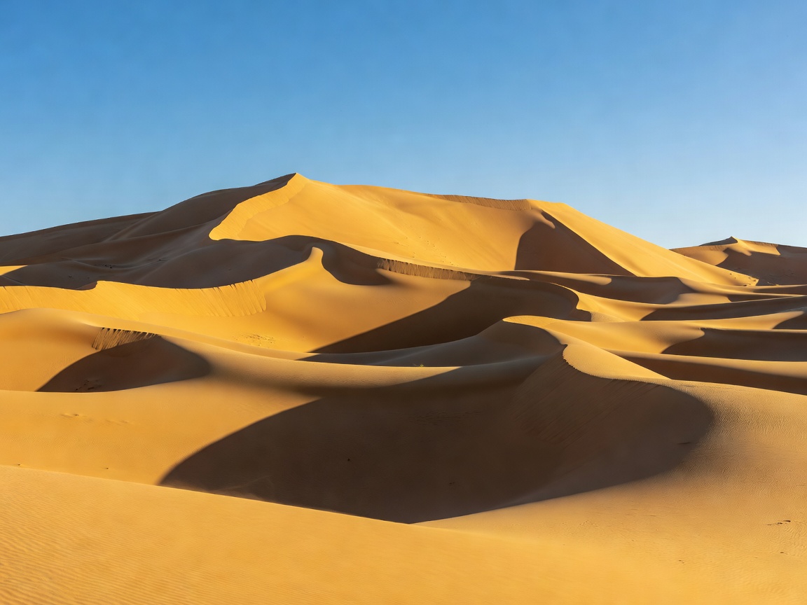 Majestic wide golden desert dunes casting long shadows under bright clear sky